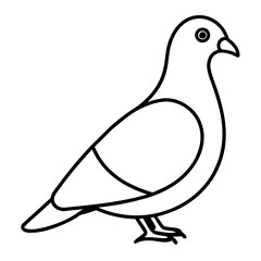 Stylized Pigeon Line Art Vector