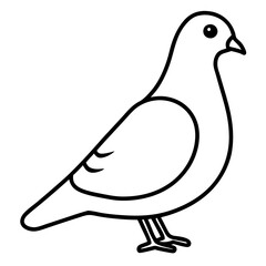 Stylized Pigeon Line Art Vector