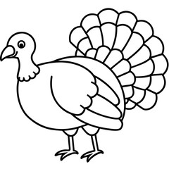 Stylized Turkey Line Art Graphic