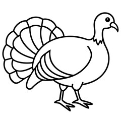 Stylized Turkey Line Art Graphic
