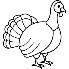 Stylized Turkey Line Art Graphic