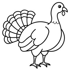 Stylized Turkey Line Art Graphic