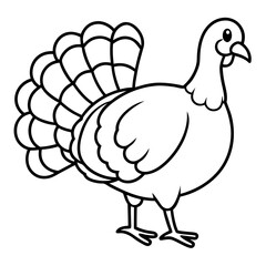 Stylized Turkey Line Art Graphic