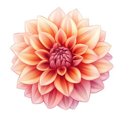 Fototapeta premium beautifully illustrated flower with a gradient of soft orange and pink hues. showcasing delicate petals that radiate from a central bloom the design emphasizes the intricate details of the petals. cre