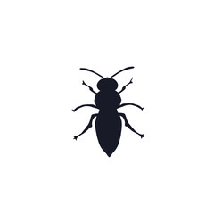 small insect icon without background