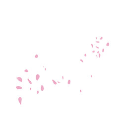 Flower blossom hand drawn illustration