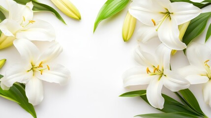 Obraz premium Delicate White Lilies Arrangement