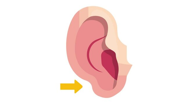 lipoma excision animation, Ear Shape Correction Procedure animated video, beauty and self-care Clip, decorative cosmetics footage, Medical Spa motion graphic