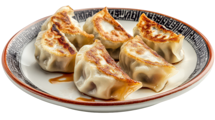 plate of delicious dumplings. showcasing a variety of golden-brown. pan-fried dumplings arranged neatly the dumplings have a crispy exterior and a soft. steamed interior. typically filled with meat or