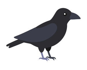 crow on a branch