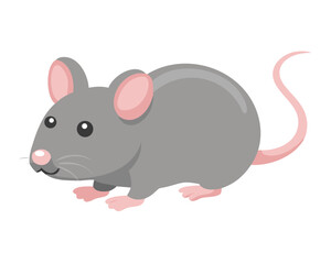 mouse and cheese