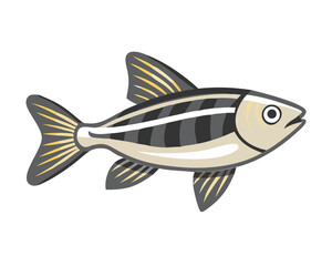 vector illustration of a fish