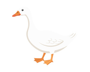 goose on white