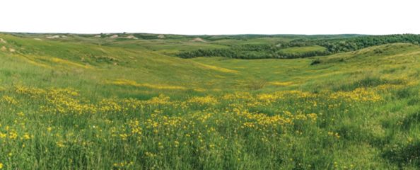 PNG Beautiful spring landscape with a blue sky outdoors horizon scenery.
