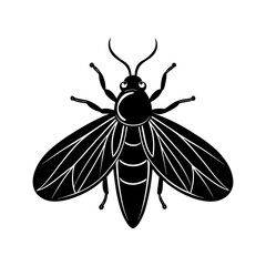 Firefly Silhouette vector illustration