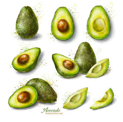Watercolor avocado set with shadows and paint splash. Avocado elements. Digital illustration.