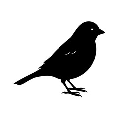 Obraz premium Finch Silhouette vector illustration