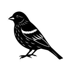 Finch Silhouette vector illustration