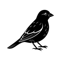 Obraz premium Finch Silhouette vector illustration