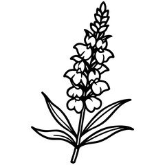 Minimal Snapdragon Vector on White