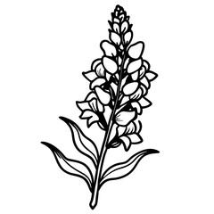 Minimal Snapdragon Vector on White