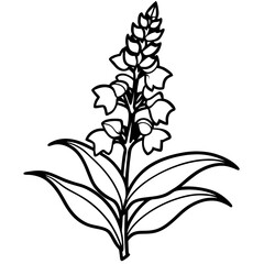 Minimal Snapdragon Vector on White