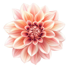 Fototapeta premium beautifully rendered. large flower with soft pink and peach petals. showcasing intricate details and a symmetrical design the delicate layers and gradients create a sense of depth and elegance. making