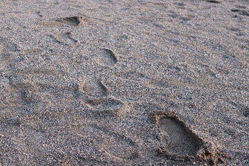 footprint in sand