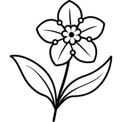 Minimal Forget-Me-Not Vector on White