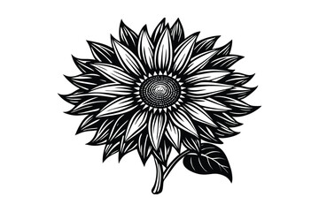 Sunflower Victorian vector illustration  