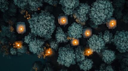 Fototapeta premium Night forest cabins aerial view, illuminated, tranquil escape