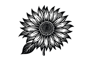 Sunflower Victorian vector illustration  