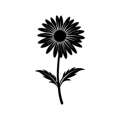 Daisy Silhouette vector illustration
