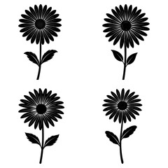 Daisy Silhouette vector illustration