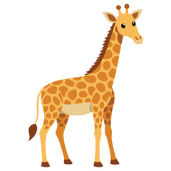 Fototapeta premium Giraffe