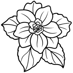 Minimal Begonia Vector on White