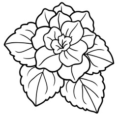 Minimal Begonia Vector on White