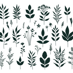 vector set of black and white flowers