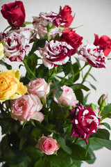 カラフルなばら