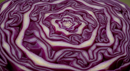 Obraz premium Cross Section Of Red Cabbage Showing Natural Geometric Patterns And Texture