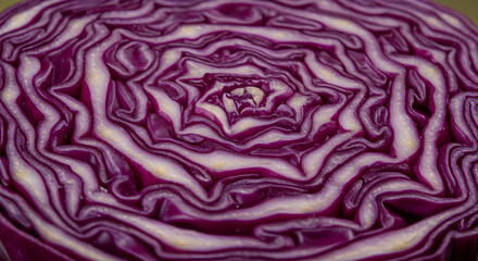 Cross Section Of Vibrant Red Cabbage Reveals Intricate Patterns