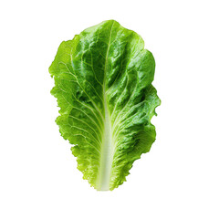 fresh. vibrant green romaine lettuce leaf. showcasing its crisp texture and healthy appearance. ideal for culinary use in salads. sandwiches. or as a garnish the clean background emphasizes the natura