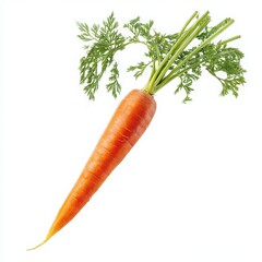 Fresh carrot with green leaves isolated on white background