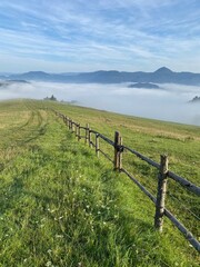 Foggy Mountain Meadow with Fence