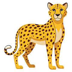 Cheetah