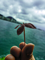 A gothic image containing a hand holding a flower with water drops

