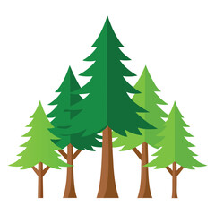 Ceder trees set icon on white background