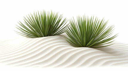 Desert plants, sand dunes, nature, serenity, calm, background, stock photo