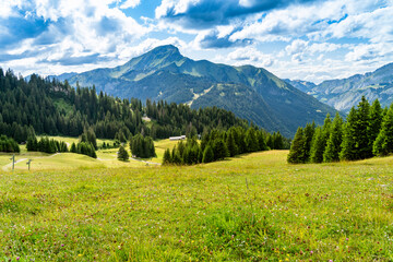 Fototapeta premium Beau paysage de montagne à Châtel en France en été