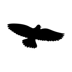Flying bird silhouette isolated on white background. Vector illustration